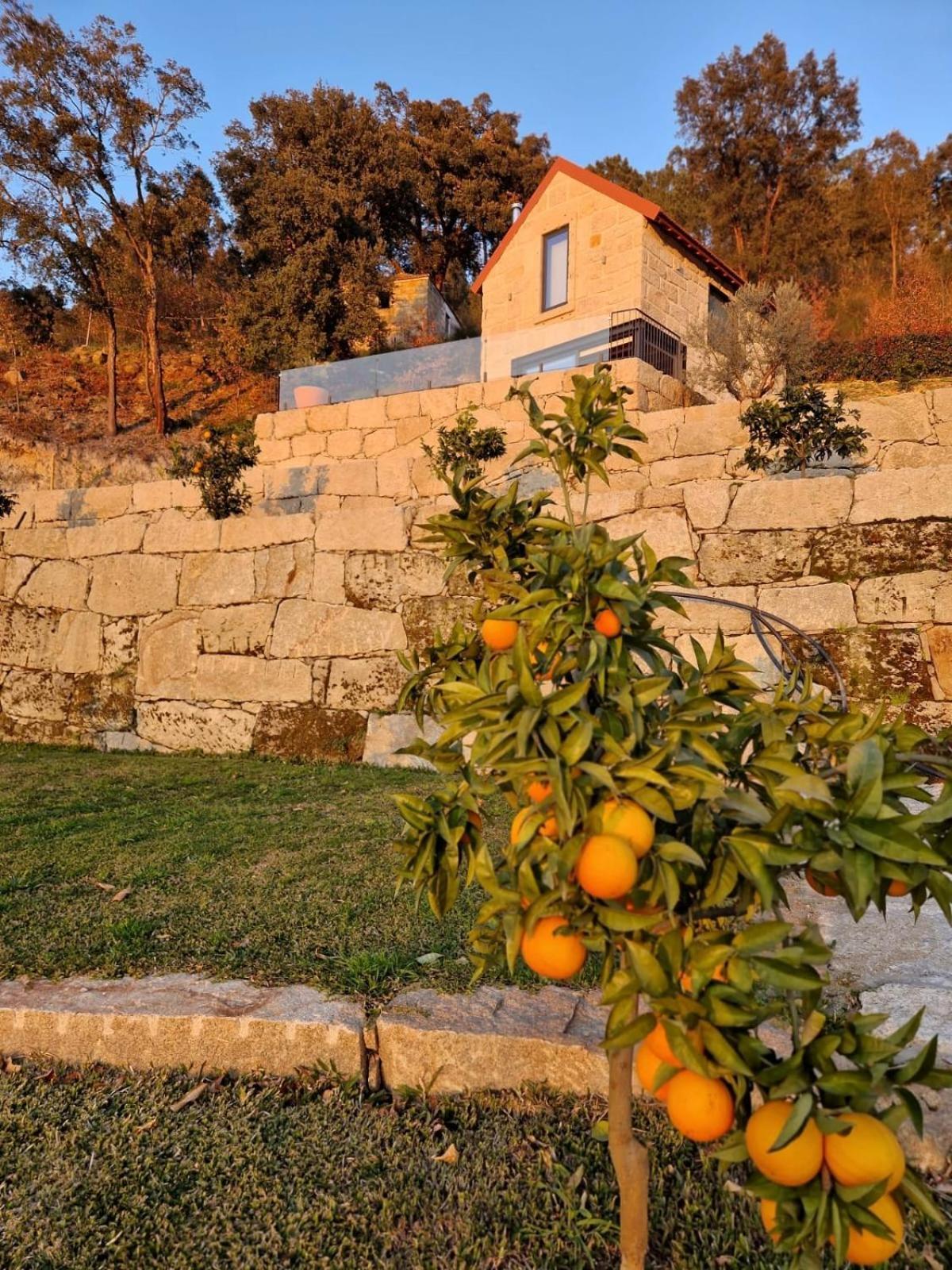 Javardo - Family House - Douro Penha Longa المظهر الخارجي الصورة